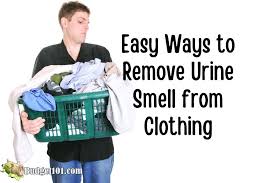 remove urine smell from clothing