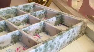 Mold On Furniture The Causes And