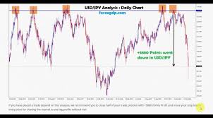 19180 Points Profit In Live Forex Signals Free At Forexgdp Com