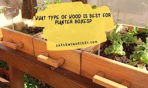 wood is best for planter bo