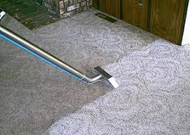 organic cleaning redwood city carpet