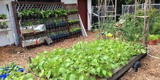jim s tips for a great garden