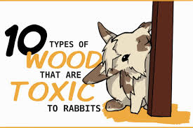 of wood that are poisonous for rabbits