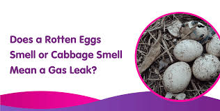 cabbage smell mean a gas leak