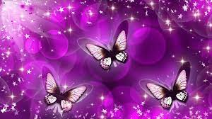 Animated Butterfly HD Wallpapers - Top ...