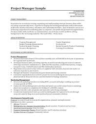 Corporate Controller Resume Examples Example Project Management