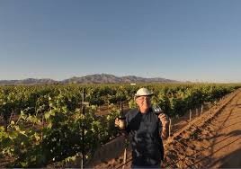 Pillsbury Wine Company | Company wine, Arizona wine, Wine