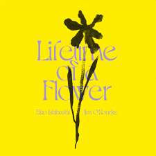 Eiko Ishibashi | Jim O'Rourke Lifetime of a Flower | uabab