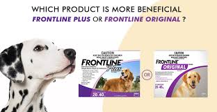 Which Flea Treatment To Choose Frontline Plus Or Frontline