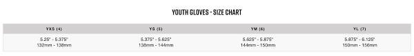 Fox Youth Dirtpaw Gloves Black 2019