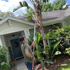 Top 10 Best Gardeners In Sarasota Fl