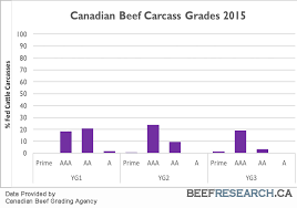 Carcass Grading Beef Cattle Research Council
