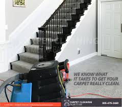 carpet cleaning palmetto bay cleaning
