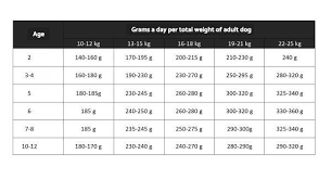 Beagle Weight Chart Goldenacresdogs Com