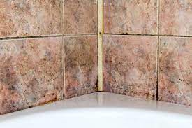 Black Mold In The Shower Here S How To