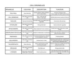 Image Result For Cell Organelles And Their Functions Chart