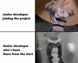 The core difference between senior and junior developers is that senior developers are in general more skilled in their field than junior developers. Junior Developer Joining The Project Senior Developer Who S Been There From The Start