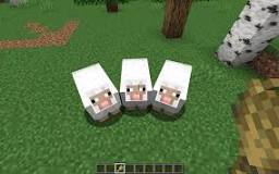 what-do-you-feed-sheep-in-minecraft