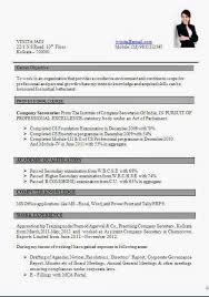 Professional Template For Resume   Free Resume Example And Writing        Free   Beautiful Resume Templates To Download