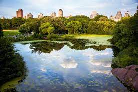places to enjoy nature in new york