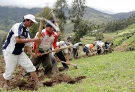 Aprueban 5 planes de asistencia técnica rural en Risaralda | CONtexto  ganadero | Noticias principales sobre ganadería y agricultura en Colombia