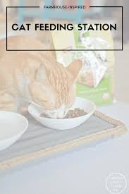 Check spelling or type a new query. Farmhouse Inspired Cat Feeding Station