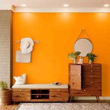 Orange L 7957 House Wall Painting