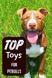 best pitbull toys the best chew proof