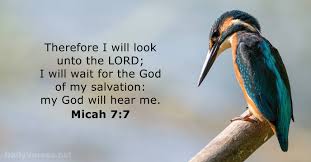 And let the lord god be witness against you, the lord from his holy temple. Micah 7 7 Bible Verse Kjv Dailyverses Net
