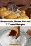 homemade mouse poison 7 tried and