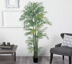 Faux Wide Areca Palm Trees Pottery Barn