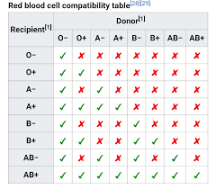Quels groupes sanguins sont compatibles ? - Quora