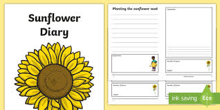 Growing sunflowers from seed is super easy, too. Sunflower Diary Template Teacher Made