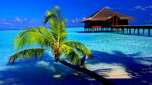 400 tropical wallpapers wallpapers com