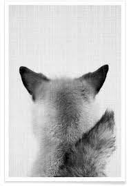 1300 x 1390 jpeg 84 кб. Fox Black White Photograph Poster Juniqe