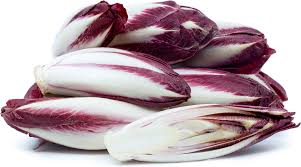 red belgian endive information and facts