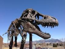 did-t-rex-have-hollow-bones