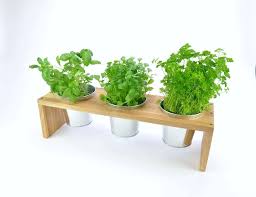 Buy Indoor Herbal Holder Herb Garden
