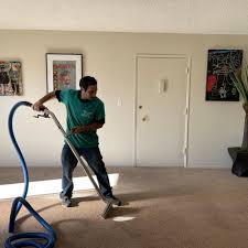 organic carpet cleaning in los angeles
