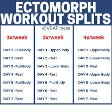 the 1 ectomorph body type nutrition