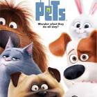 Dan Fybel Doggie Day-Care Movie