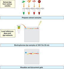 Idea Kit Inquiry Dye Electrophoresis Activity Life