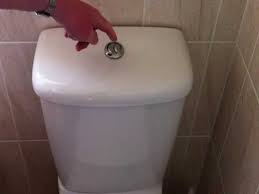 your toilet flush is not working read