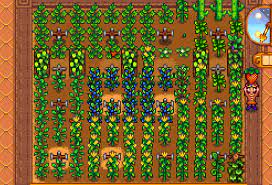 Stardew Valley Seeds And Planting