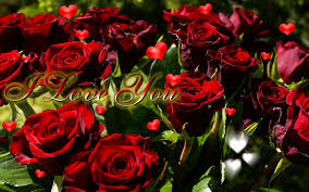 i love you ecard s of roses