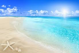White Sands Tropical Paradise Beach