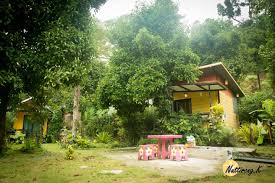 ภูทรีเฮาส์คีรีวง #0619636965... - ภูทรีเฮาส์ คีรีวง Kiriwong Phu Tree House