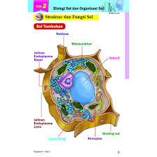 E book matematik tingkatan 2 slideshare, kssm pendidikan seni visual tingkatan 3 flip ebook pages 1, math form 3 flip ebook pages 1 50 anyflip anyflip, malay eljq88y09v41 documents and e books, download provider, related files: Revisi Mobil Kssm Biologi Tingkatan 4 Shopee Malaysia