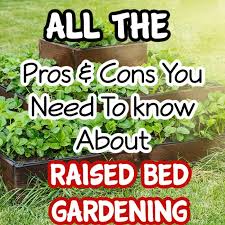 Pros And Cons Of Raised Bed Gardening