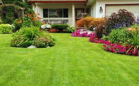 Tips For Winter Lawn Treatment To Keep